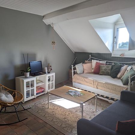 Appartement Des Hirondelles , Au Pied Du Chateau ชีนง ภายนอก รูปภาพ
