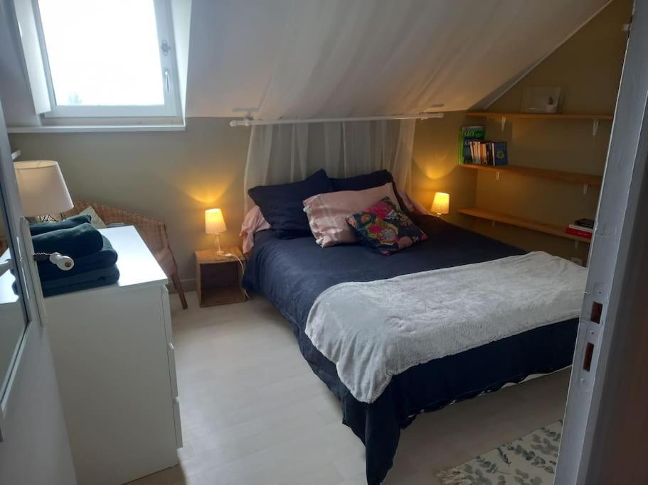Appartement Des Hirondelles , Au Pied Du Chateau ชีนง ภายนอก รูปภาพ