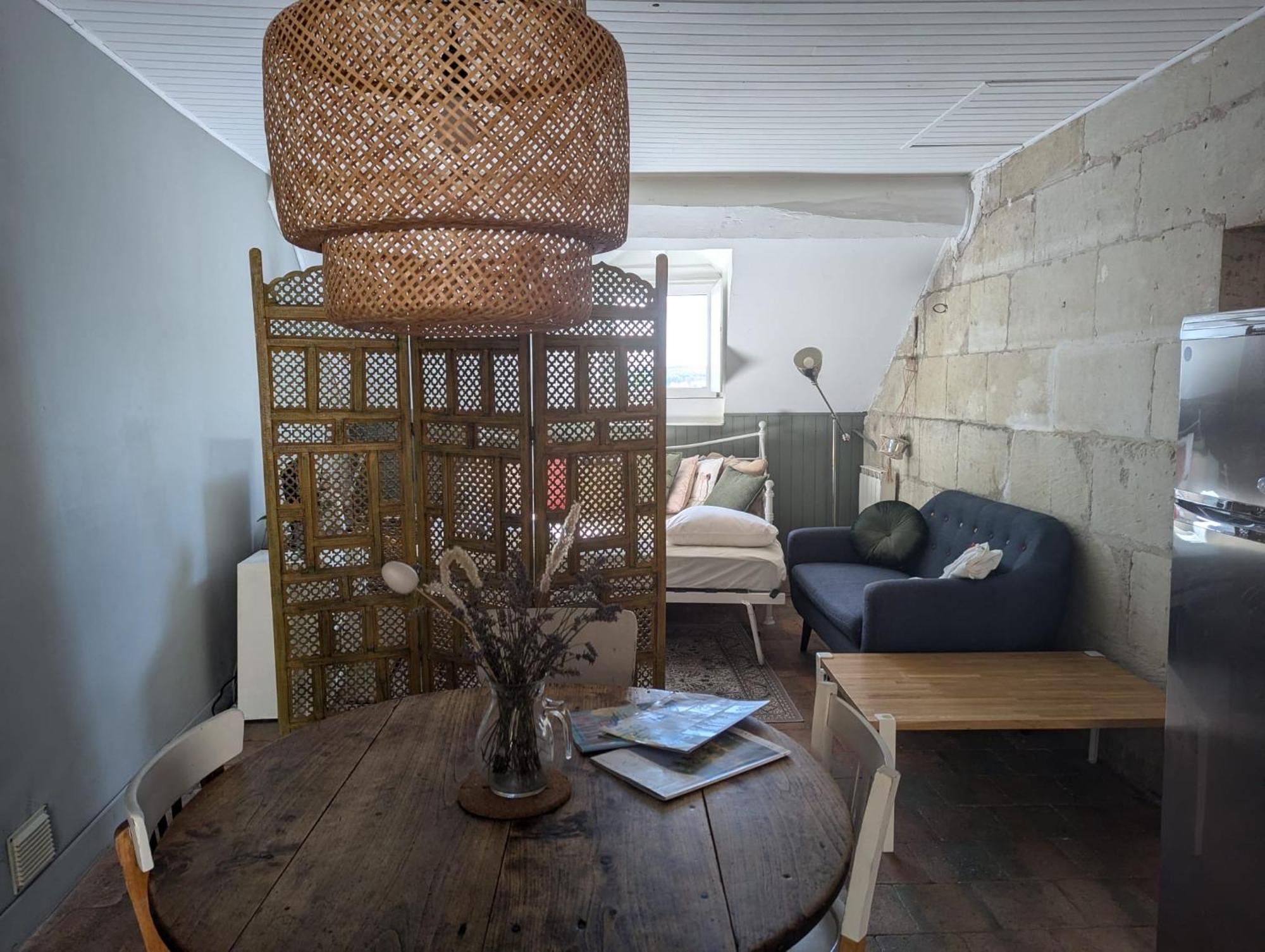 Appartement Des Hirondelles , Au Pied Du Chateau ชีนง ภายนอก รูปภาพ