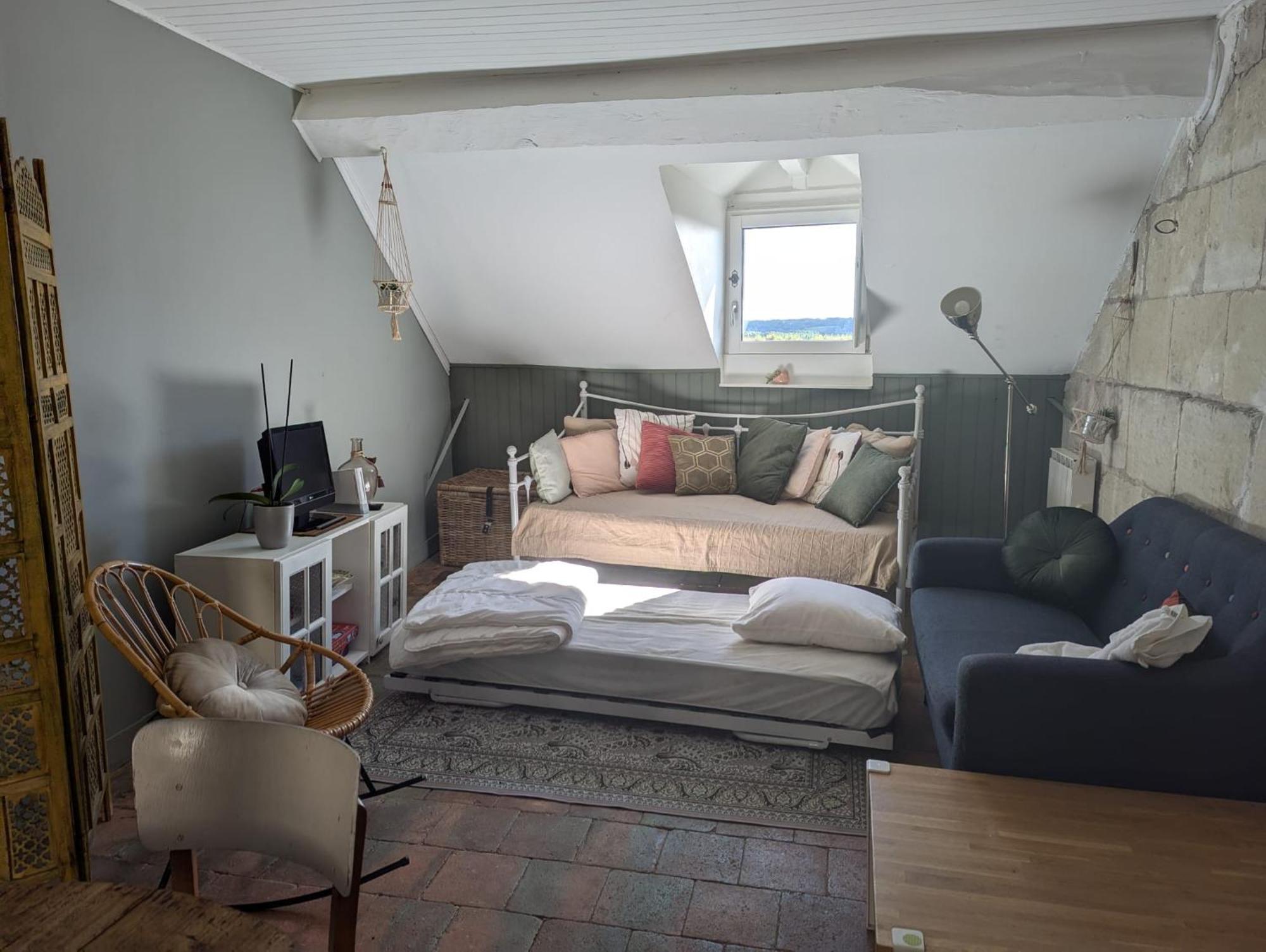 Appartement Des Hirondelles , Au Pied Du Chateau ชีนง ภายนอก รูปภาพ