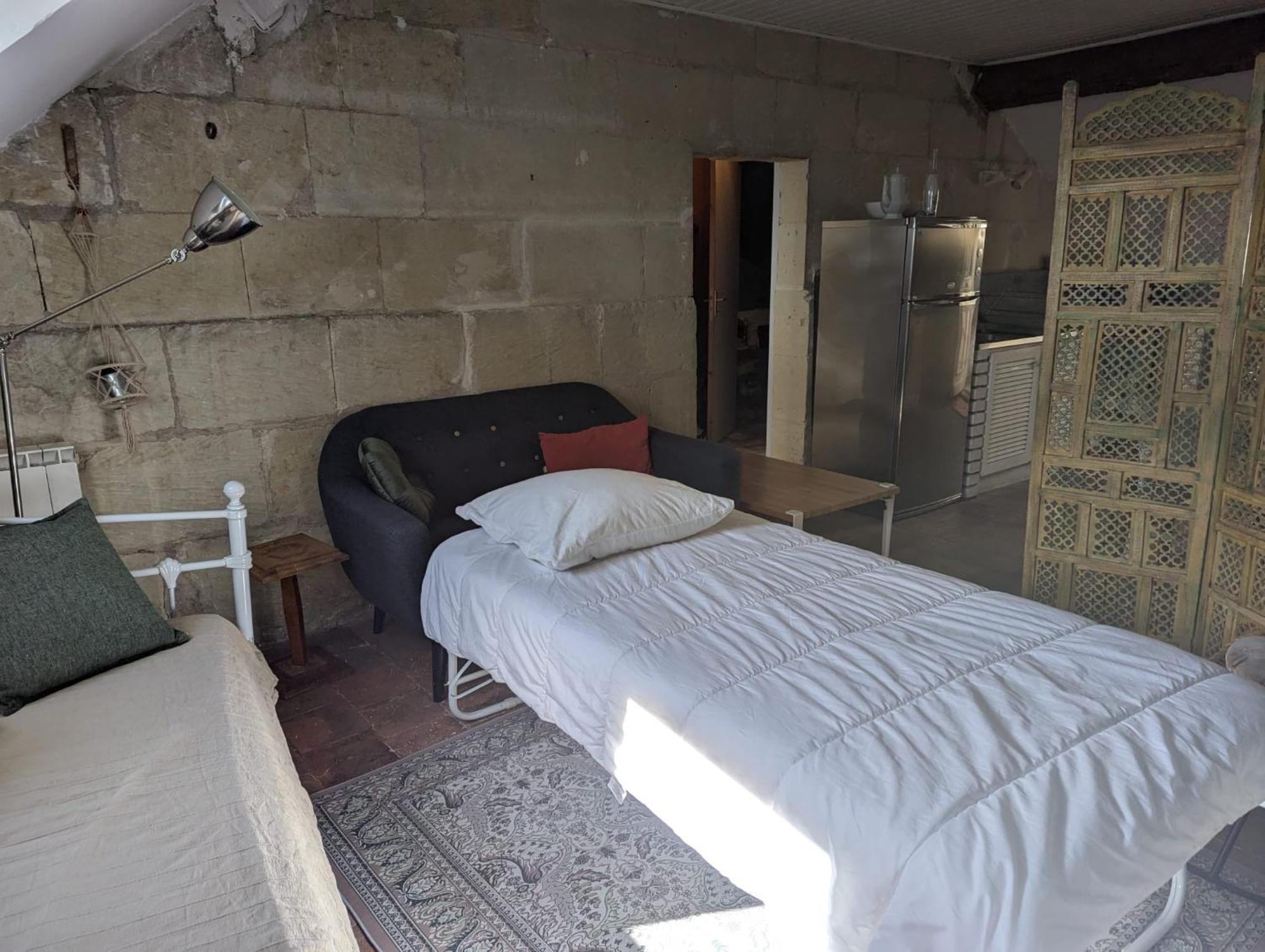 Appartement Des Hirondelles , Au Pied Du Chateau ชีนง ภายนอก รูปภาพ