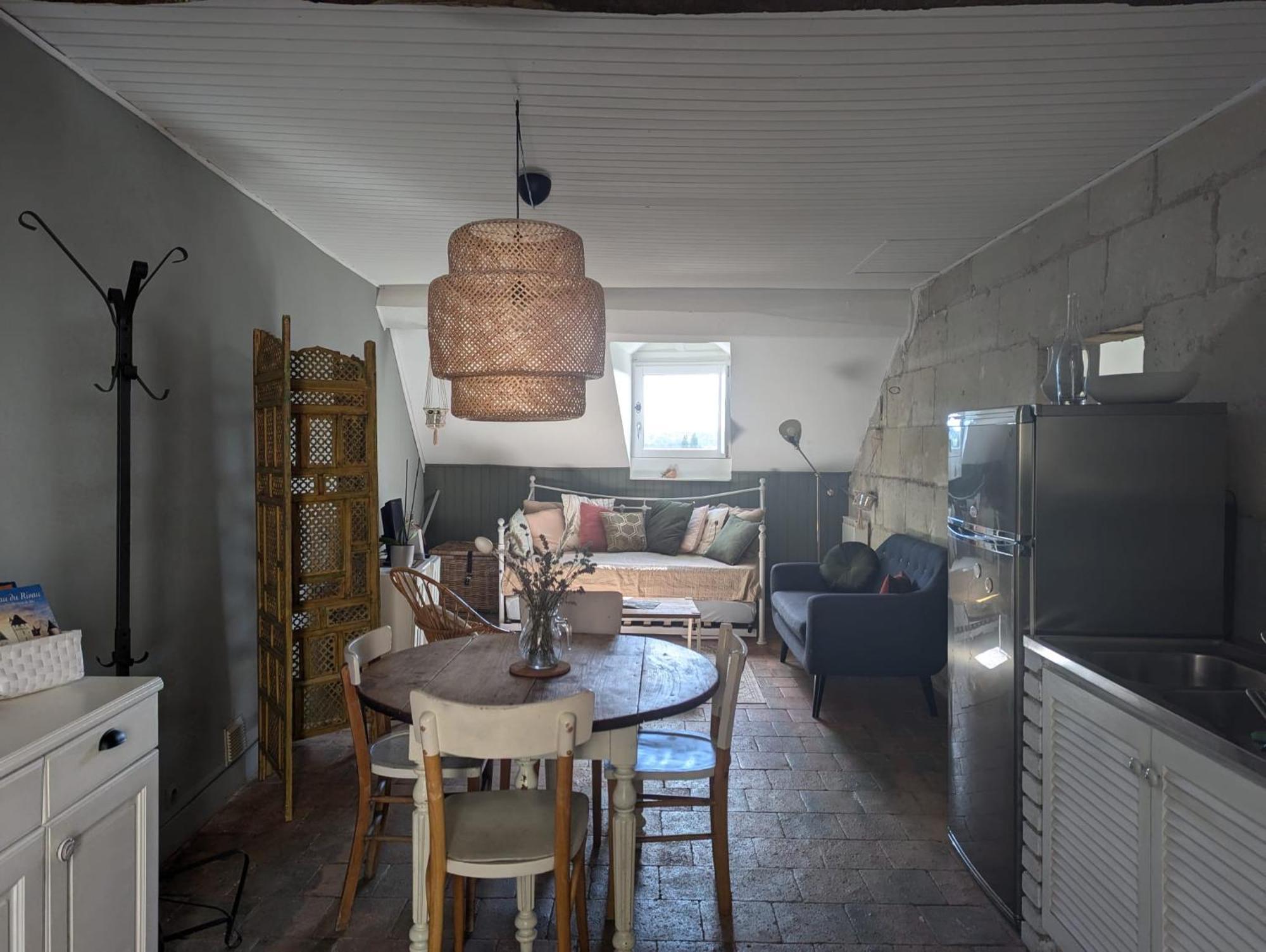Appartement Des Hirondelles , Au Pied Du Chateau ชีนง ภายนอก รูปภาพ